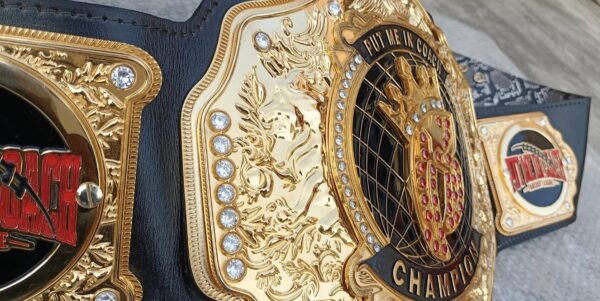 Fantasy Football Custom Championship Title Belt - Image 2