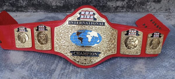 Custom Championship Title Belt. - Image 4