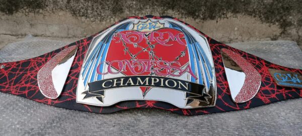 Custom Club Championship Title Belt - Image 2