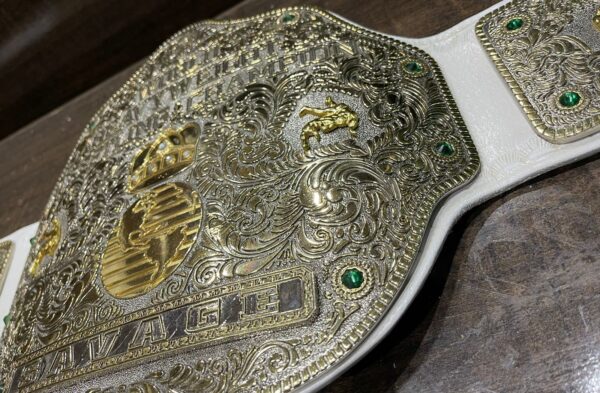 Big gold Custom Championship Title Belt. - Image 3