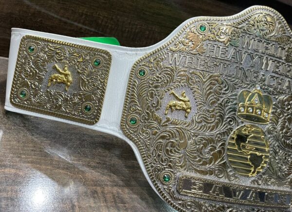 Big gold Custom Championship Title Belt. - Image 4