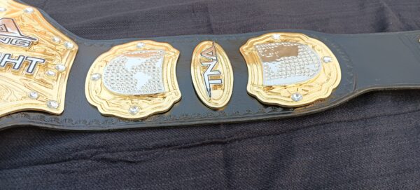 TNA WILDCAT HEAVYWEIGHT CHAMPIONSHIP BELT - Image 2