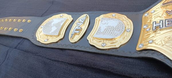 TNA WILDCAT HEAVYWEIGHT CHAMPIONSHIP BELT - Image 3