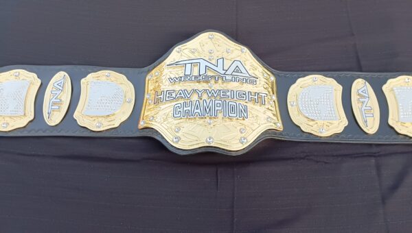 TNA WILDCAT HEAVYWEIGHT CHAMPIONSHIP BELT - Image 4