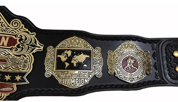 ROH RING OF HONOR WORLD TELEVISION WRESTLING CHAMPIONSHIP TITLE BELT REPLICA - Image 3