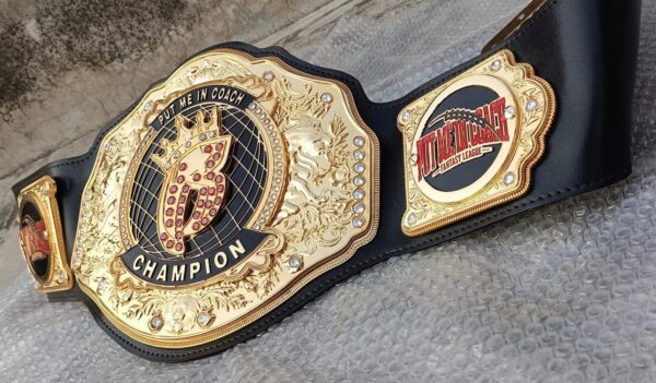 Fantasy Football Custom Championship Title Belt - Image 7