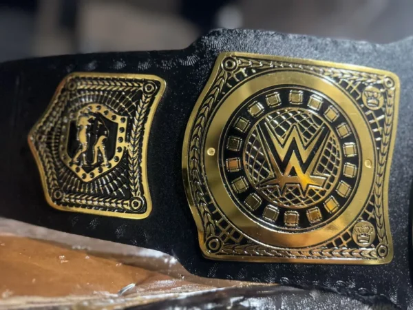 NEW 2024 WWE Tag Team Championship Title Belt - Image 4